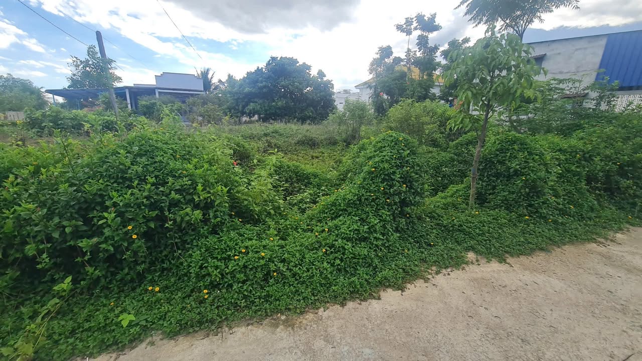 Đất nền Cam Bình – Phước Hội 490m² giá 1,92 tỷ - Đầu tư sinh lời tuyệt vời!