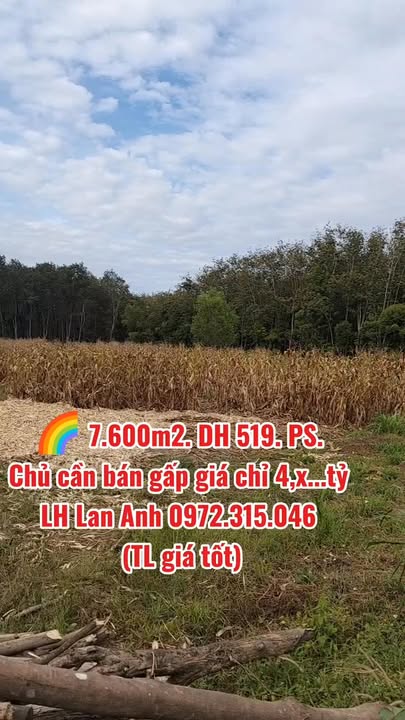 Đất nền Phước Sang, Phú Giáo 7600m² giá chỉ 4 tỷ - Cơ hội đầu tư hấp dẫn!