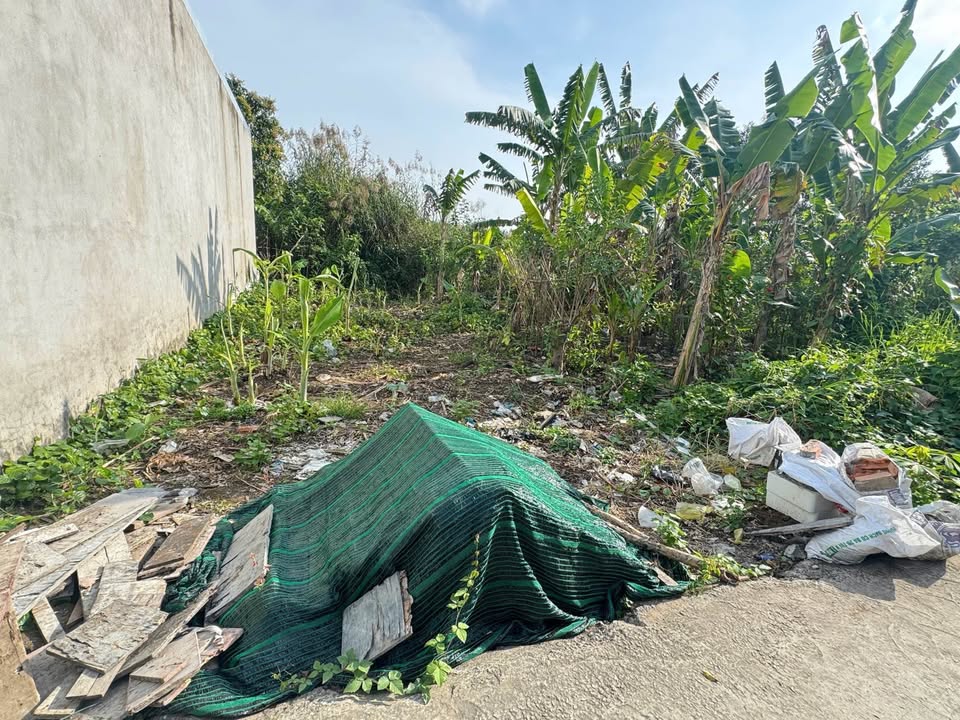 Đất nền khu dân cư Út Lấn, Mỹ Thạnh, Long Xuyên - 101.2m² chỉ 620 triệu!