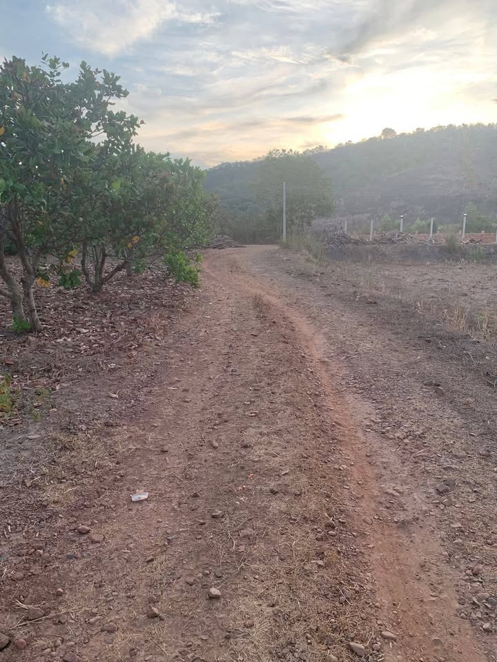 Đất nền 2 mặt tiền Tân Nghĩa 6338m² giá 2.5 tỷ - Đầu tư sinh lời cao!