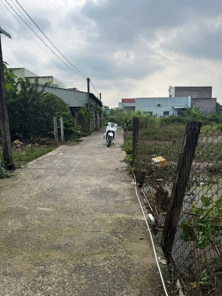 Đất nền hẻm 79 An Vĩnh Ngãi 125m² giá 560 triệu - Cơ hội đầu tư tuyệt vời!