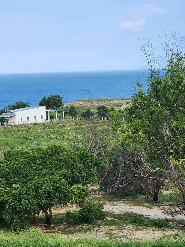 Đất nền Tân Thành Hàm Thuận Nam 11640m² giá chỉ 1.2 triệu/m² - Cơ hội đầu tư tuyệt vời!