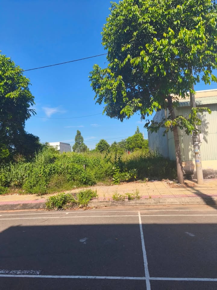 Lô đất Phú Long 100m² giá 1.05 tỷ - Cơ hội đầu tư hấp dẫn!