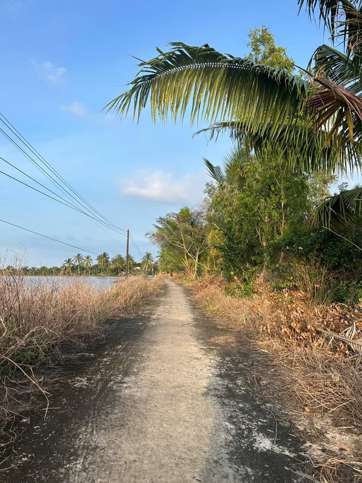 Đất nền Hỏa Lựu 302m² chỉ 135 triệu - Đầu tư sinh lời ngay!