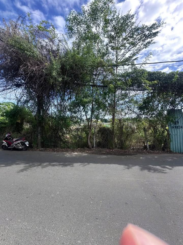 Lô đất siêu VIP đường Lưu Chí Hiếu, Vũng Tàu 1770m² giá 35.46 tỷ - Đầu tư sinh lời ngay!