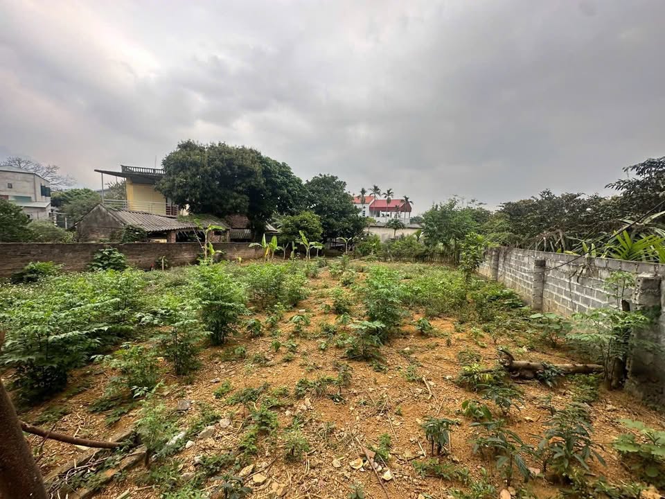 Đất nền Tu Vũ, Thanh Thủy 177m² giá chỉ 600 triệu - Vị trí trung tâm thuận lợi!