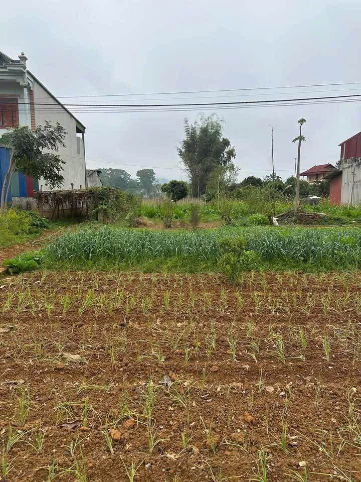 Đất mặt đường Quốc lộ 6, Chiềng Mung, 360m² giá 2.55 tỷ - Đầu tư sinh lời ngay!