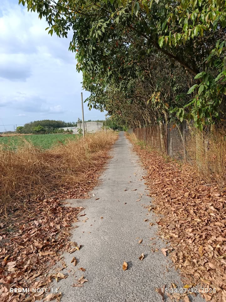 Đất nền KCN Minh Hưng Hàn Quốc 650m² - Cơ hội đầu tư sinh lời