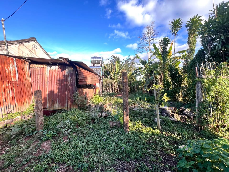 Đất nền mặt tiền Hà Huy Tập, Thống Nhất 100m² giá 1 tỷ - Cơ hội đầu tư tuyệt vời!