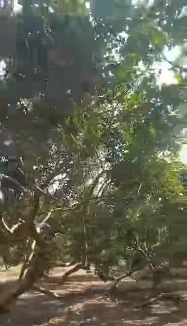 Đất vườn chôm chôm Thái Xuân Bảo 20,000m² giá 2.3 tỷ - Chính chủ cần bán gấp!