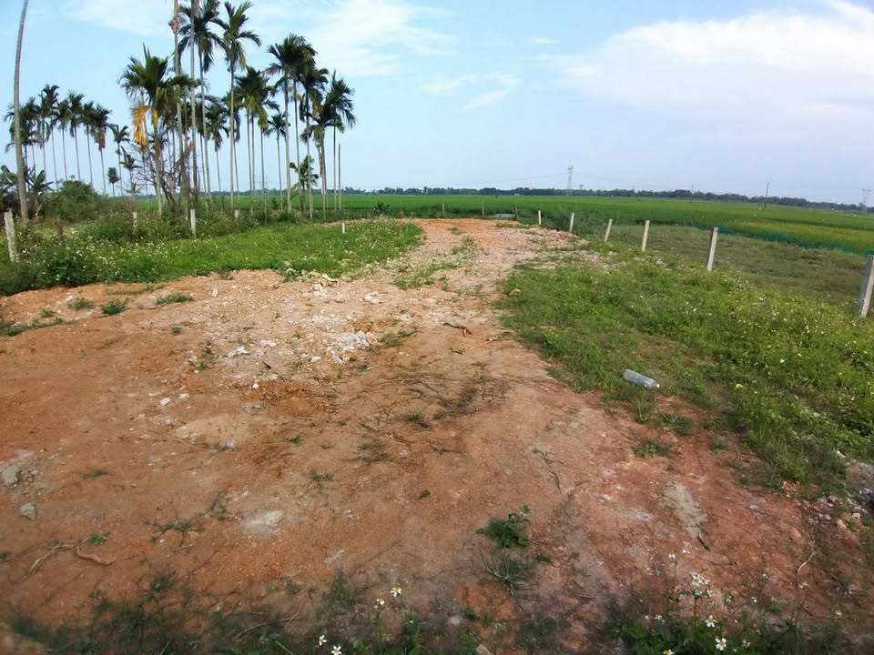 Đất nền Hòa Khương 146m² giá thỏa thuận - View đồng thoáng mát!