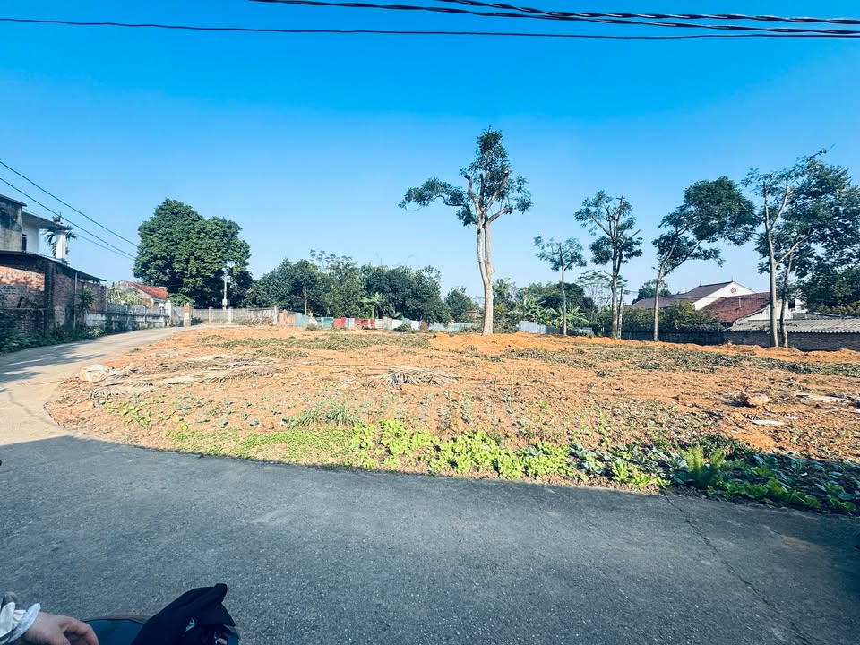 Đất phân lô khu Thanh Đình Phú Thọ 93m² giá 700 triệu - Cơ hội đầu tư hiếm có!