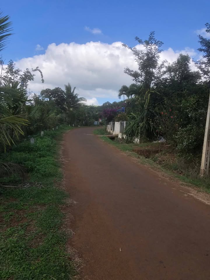 Đất nền xã Thuận Hạnh, huyện Đắk Song 14500m² giá 3.2 tỷ - Cơ hội đầu tư hấp dẫn!