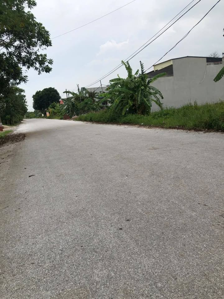 Lô đất 125m² tại Tân Định, Quảng Xương, giá chỉ 1.88 tỷ - Đầu tư sinh lời ngay!