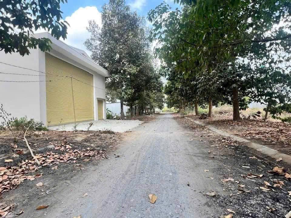 Đất nền chính chủ Bến Lức, 144m² giá 3 tỷ - Cơ hội đầu tư hấp dẫn!