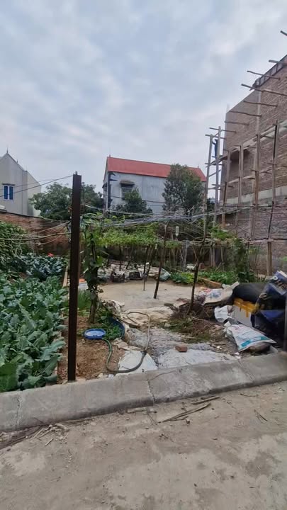 Đất nền 96m² tại Thôn Hương Đình - Giá chỉ 3 tỷ - Cơ hội đầu tư tuyệt vời!