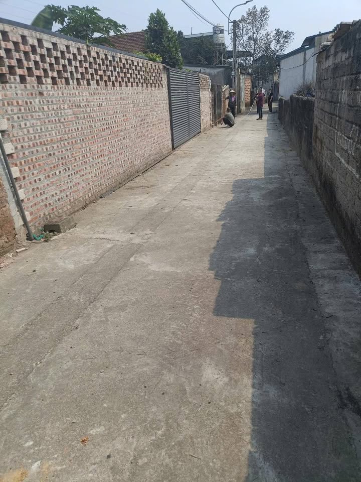 Đất nền Sơn Đông 100m² giá 700 triệu - Cơ hội đầu tư tuyệt vời!