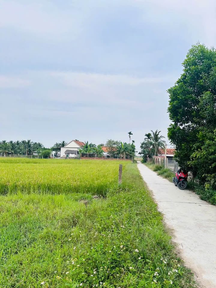 Lô đất Ninh Trung 1.088m² giá 780 triệu - Cơ hội đầu tư sinh lời!