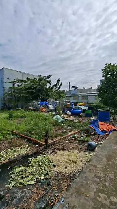 Đất nền An Phú Đông 54m² giá 3.9 tỷ - Gần sông Sài Gòn thoáng mát!