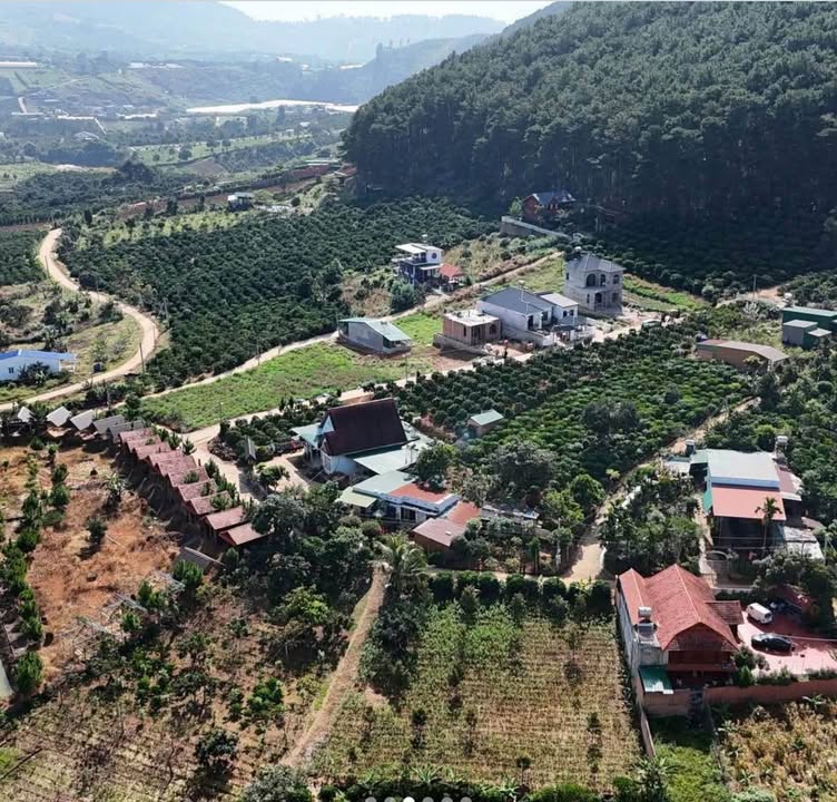 Nhà chính chủ Mê Linh, Lâm Hà 249m² giá 3.678 tỷ - Không gian sống xanh lý tưởng!