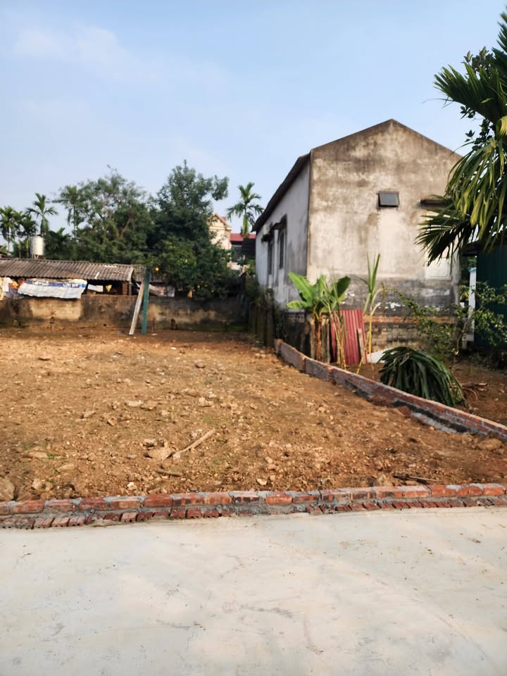 Đất nền Tề Lễ, Tam Nông 100m² giá thỏa thuận - Cơ hội đầu tư sinh lời lý tưởng!