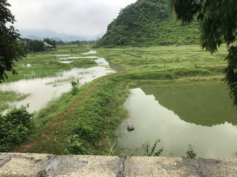 Đất thổ cư 350m² tại Ân Nghĩa, Lạc Sơn - Giá chỉ 1.4 tỷ, view đẹp!