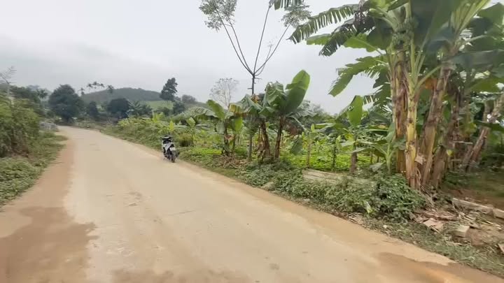 Đất nền xóm Vỏ, xã Thu Phong, Cao Phong, Hòa Bình 328m² giá 1.2 tỷ - Sổ đỏ chính chủ, pháp lý rõ ràng!