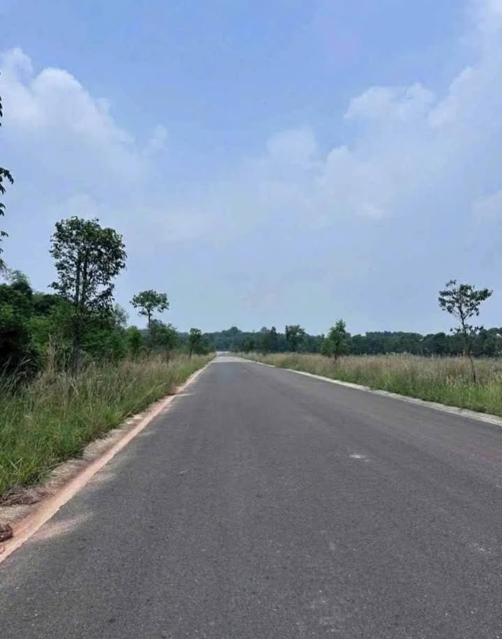 Đất nền 10863m² giá 43.45 tỷ - Mặt tiền đường nhựa lớn, gần KCN Mỹ Phước!