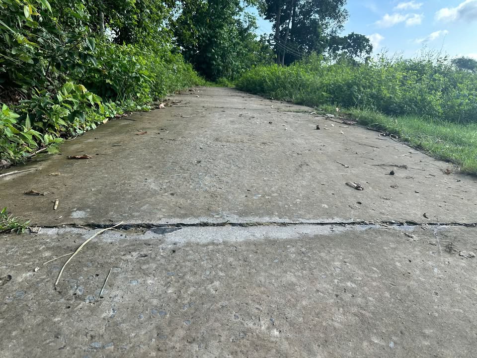 Đất nền Cổ Tháp A, Châu Thành, Trà Vinh 178m² giá 460 triệu - Mặt tiền đường bê tông tiện lợi!