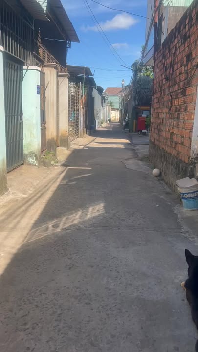 Nhà Hẻm 82/6 Bà Triệu, Phường Phù Đổng, 156m² giá 1.95 tỷ - Chính chủ bán gấp!
