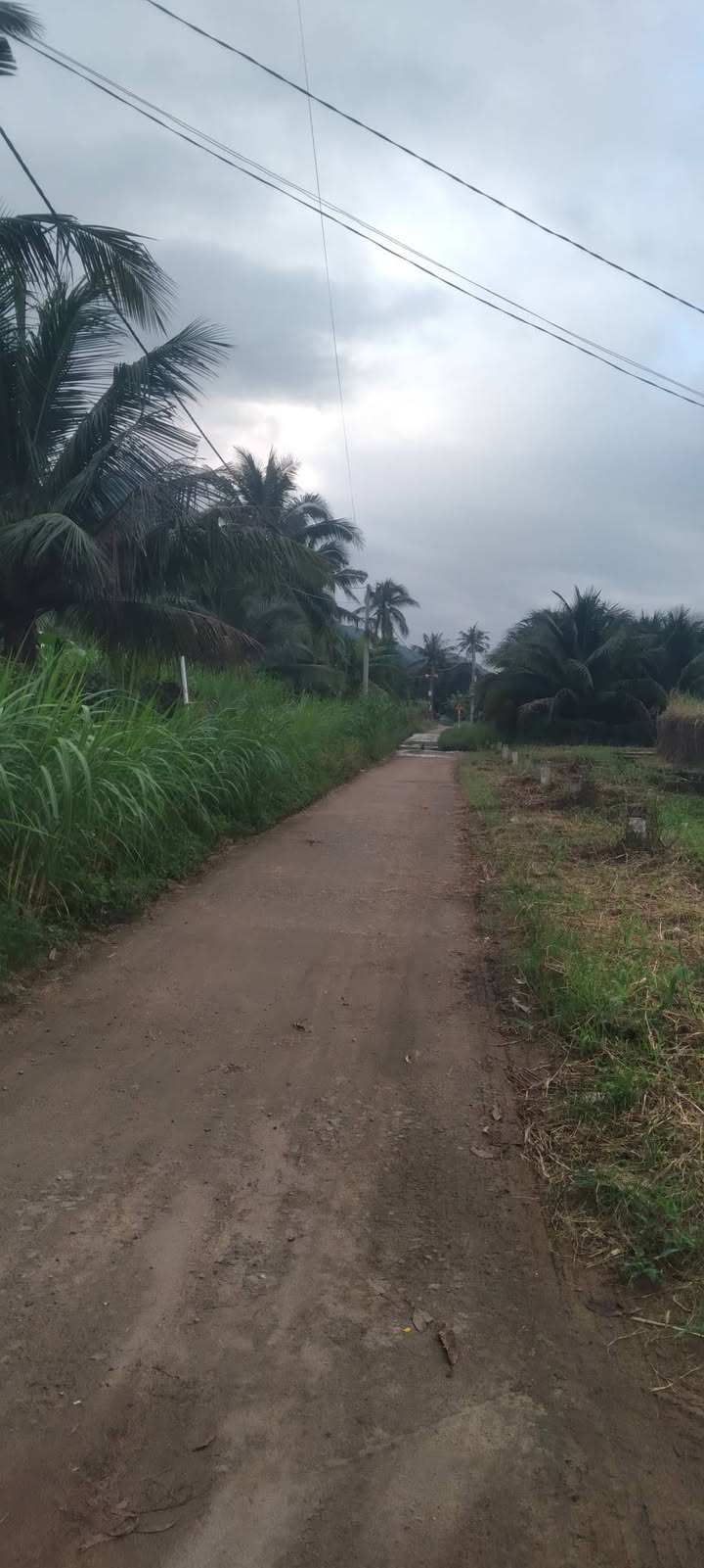 Đất thổ cư Cam An Nam 677m² giá chỉ 3.39 tỷ - Cơ hội đầu tư tuyệt vời!