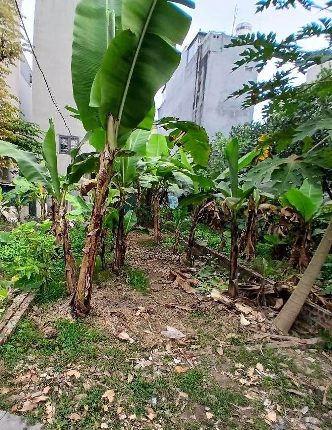 Đất 40m² Thượng Cát - Giá 5 tỷ - Vị trí đắc địa, thuận tiện giao thông!