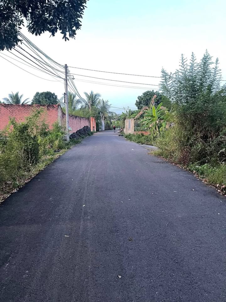 Đất nền vàng Trị An, Vĩnh Cửu 520m² - Giá 1.5 tỷ, sổ đỏ chính chủ!