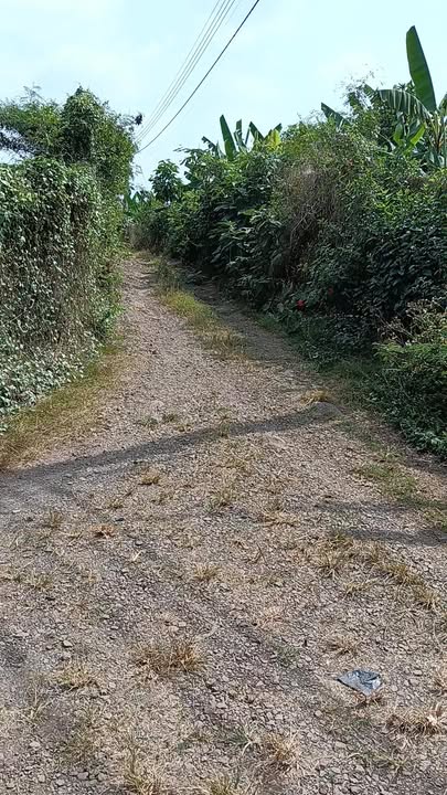 Đất nông nghiệp 3420m² xã Bàu Hàm, Trảng Bom, Đồng Nai - Giá 4.7 tỷ, mặt tiền đường 128m