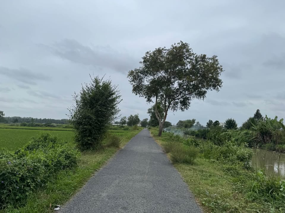 Đất nền 2,4 Công Mặt tiền Nguyễn Thiện Thành, Châu Thành - Đầu tư sinh lời tuyệt vời!