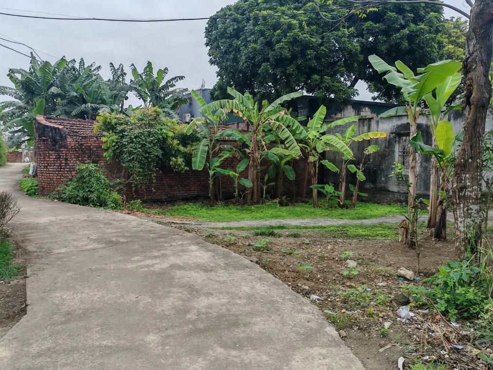 Đất nền khu du lịch Yên Quang Nho Quan Ninh Bình 157.5m² giá chỉ 400 triệu - Đầu tư sinh lời ngay!