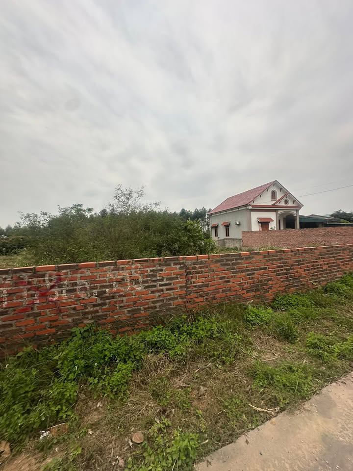 Đất nền thôn Triều Phú, xã An Sinh, 179.8m² giá 1 tỷ - Mặt tiền rộng, kinh doanh thuận lợi!