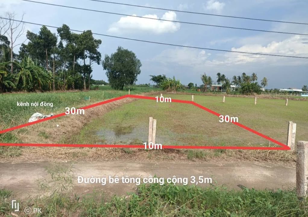 Đất nền Vàm Cỏ, Tân Trụ, 300m² giá 699 triệu - Đầu tư sinh lợi ngay!