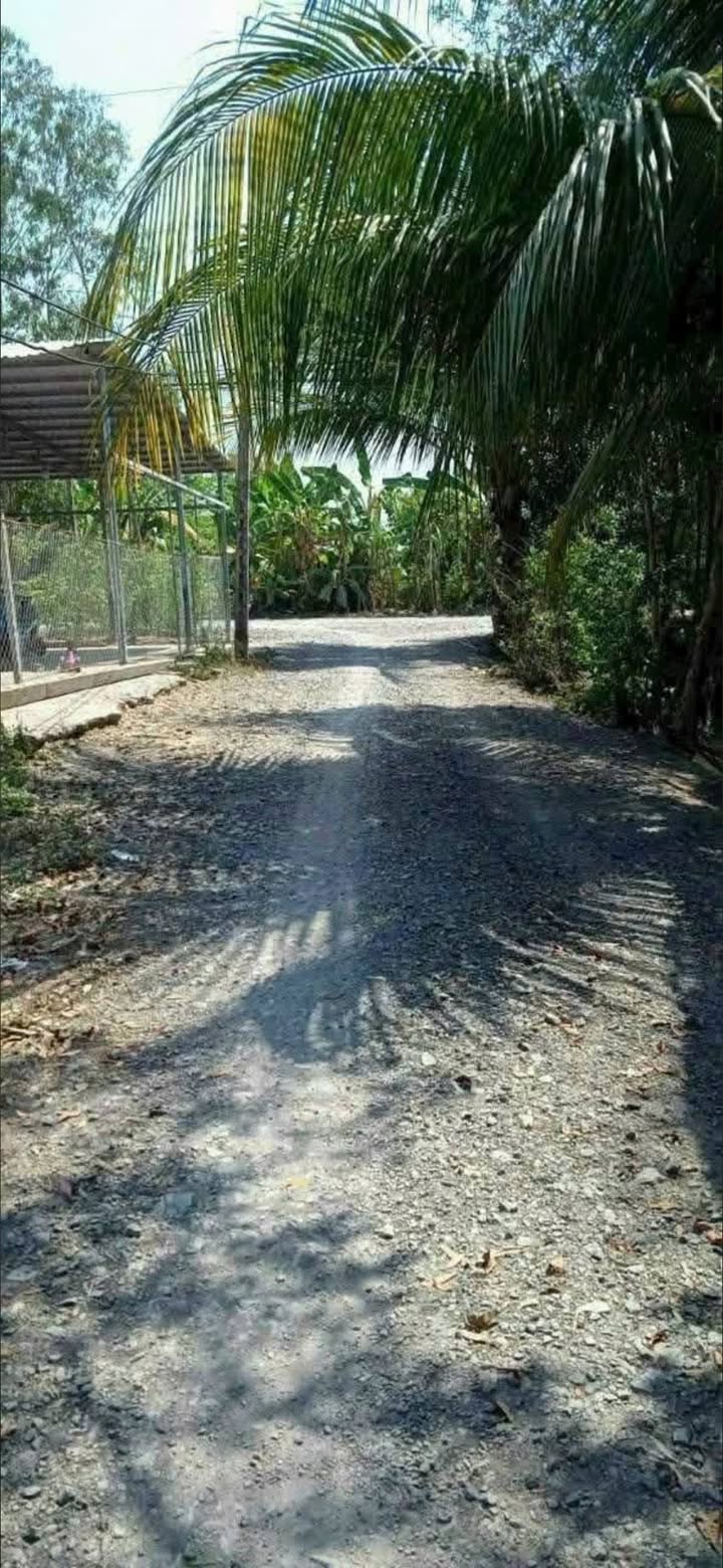 Đất nền ấp Bình Thủy, Tân Phú 6890m² giá 2.9 tỷ - Đầu tư lý tưởng!