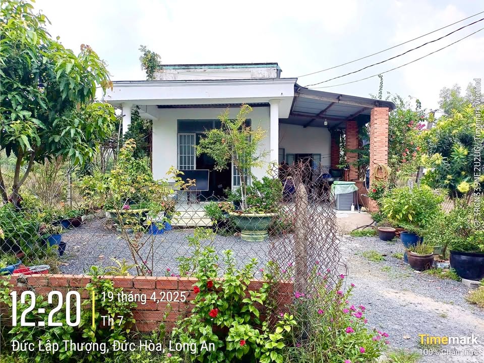 Nhà cấp 4 600m² tại Ấp Đức Ngãi, Đức Hòa - Giá 3 tỷ, thương lượng!