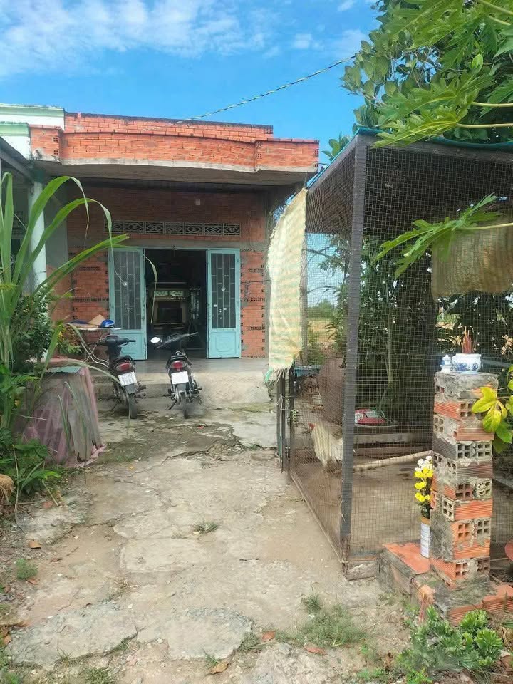 Đất thổ cư Hòa Khánh Nam, Đức Hòa 152m² giá 680 triệu - Sổ hồng chính chủ!