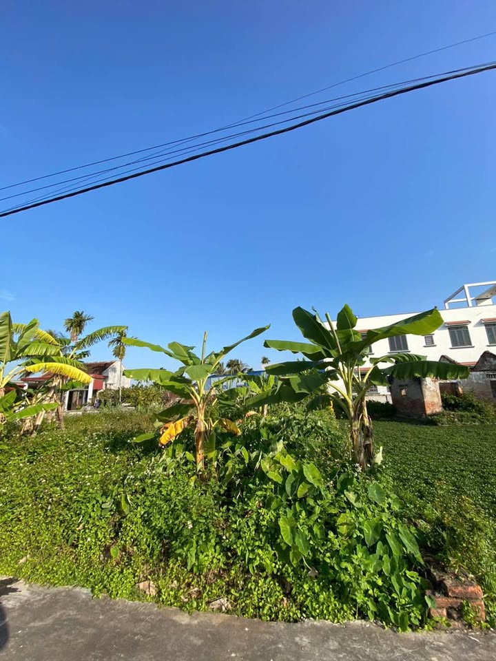 Đất thổ cư Nam Hưng, Tiên Lãng 127m² giá 1.1 tỷ - Cơ hội đầu tư sinh lời!