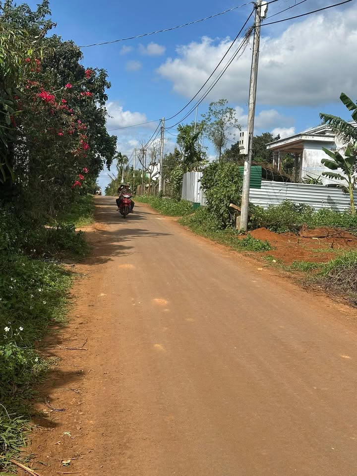 Đất thổ cư Pơng Drang 1728m² - Giá thỏa thuận hấp dẫn!