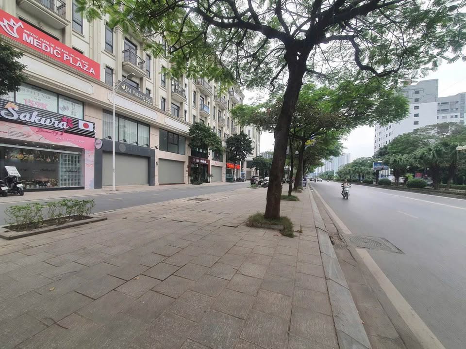 FrontHouse Tố Hữu, Vạn Phúc, 98m² giá 47 tỷ - Căn góc hoàn thiện, thang máy sẵn sàng!