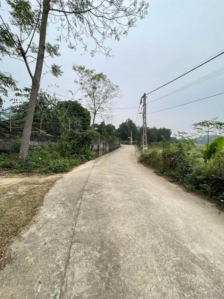 Đất nền Thôn Tân An, xã Bất Bạt, 303m² giá 2 tỷ - View núi Ba Vì thoáng mát!