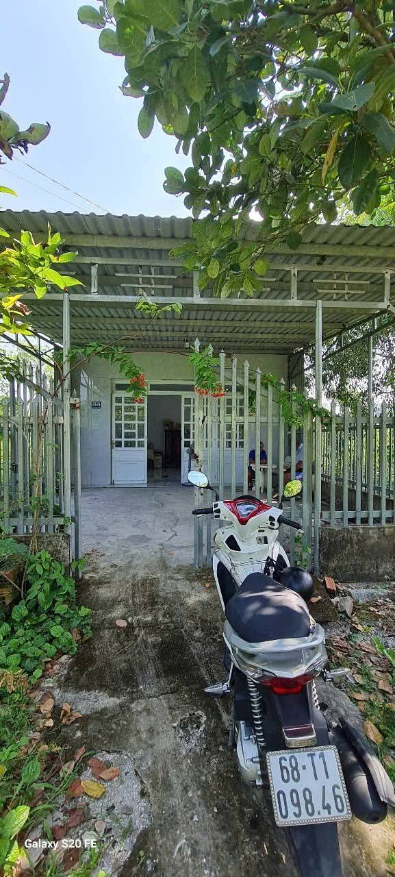 Bán đất mặt tiền đường Võ Trường Toản, Rạch Giá, 291m² - Đầu tư sinh lời ngay!