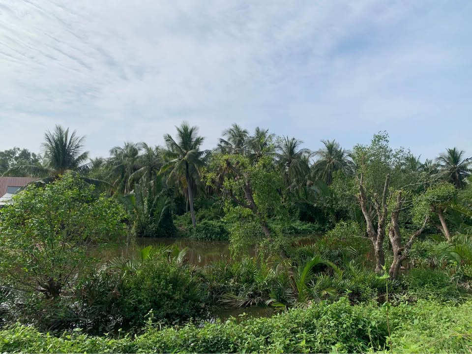 Đất mặt tiền Đê Quốc Phòng Hòn Đất 38.000m² giá 3.04 tỷ - Đầu tư sinh lời ngay!