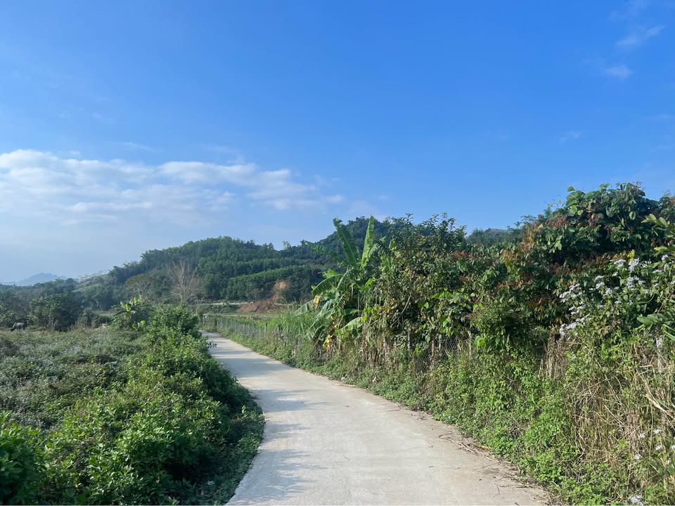 Đất Farm Hợp Phong, Cao Phong 3500m² - Lô góc 3 mặt tiền, giá chỉ 1 tỷ VND!