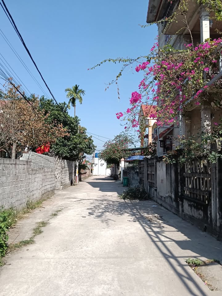 Đất nền Thắng Lợi, Thường Tín 100m² giá 5.4 tỷ - Lô góc đẹp, đầu tư sinh lời!