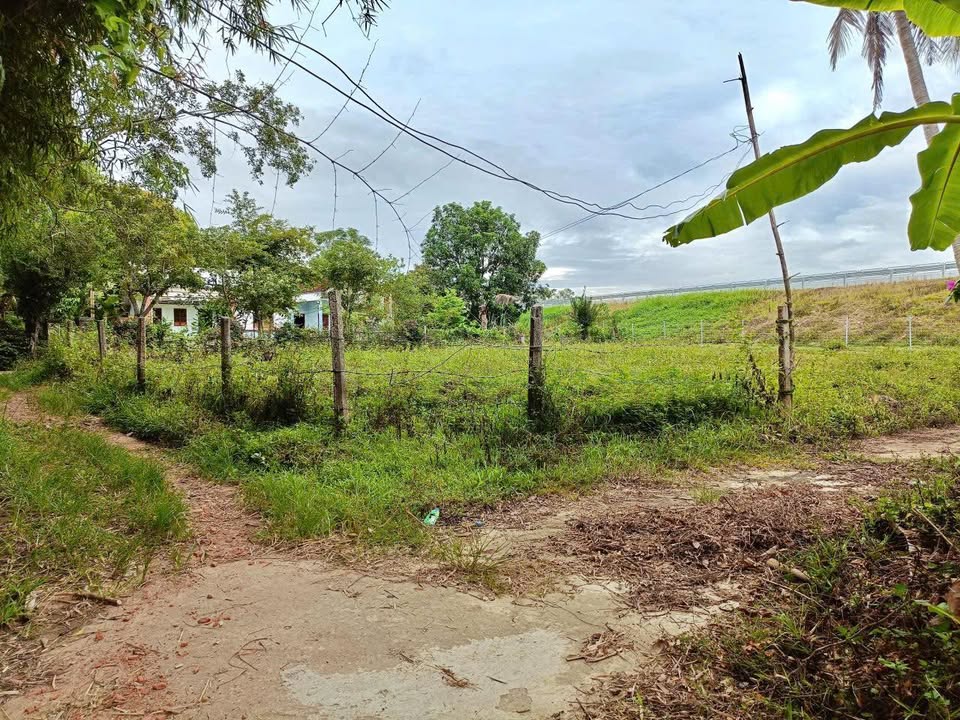 Đất thổ cư 200m² tại thôn Trà Bình Tây, Mỹ Hiệp chỉ 145 triệu - Cơ hội đầu tư sinh lời!